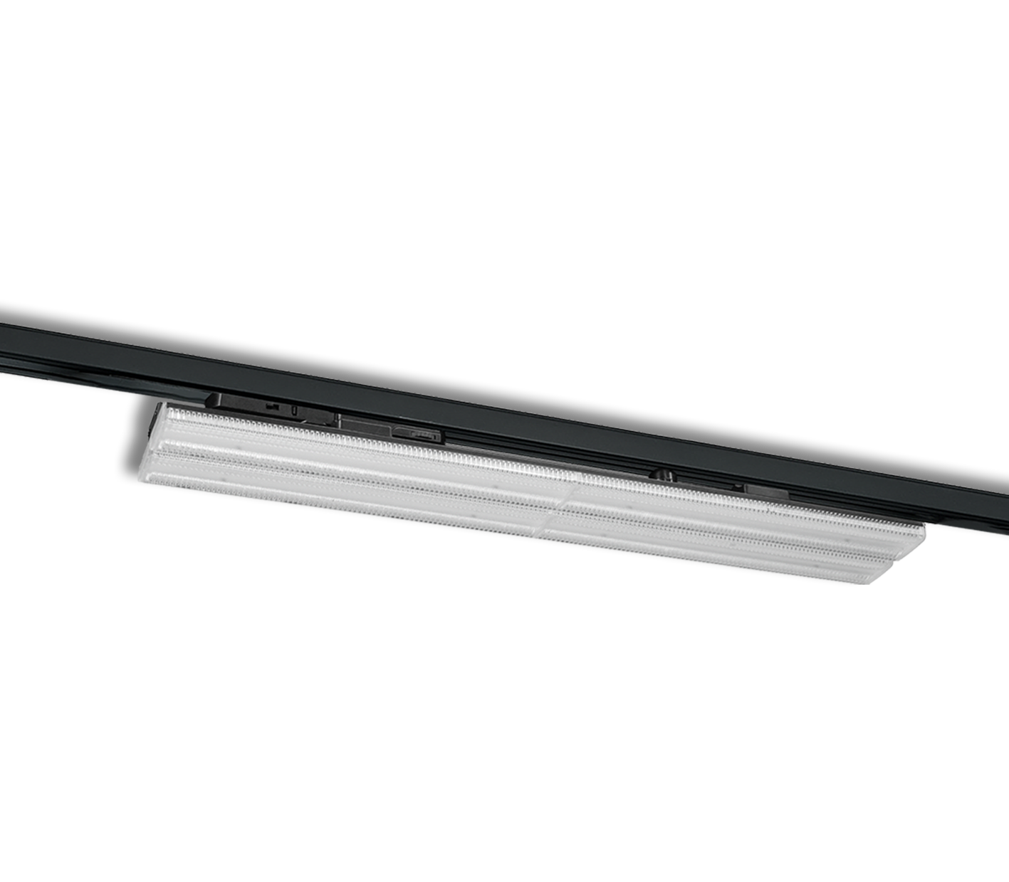 FLIP 2